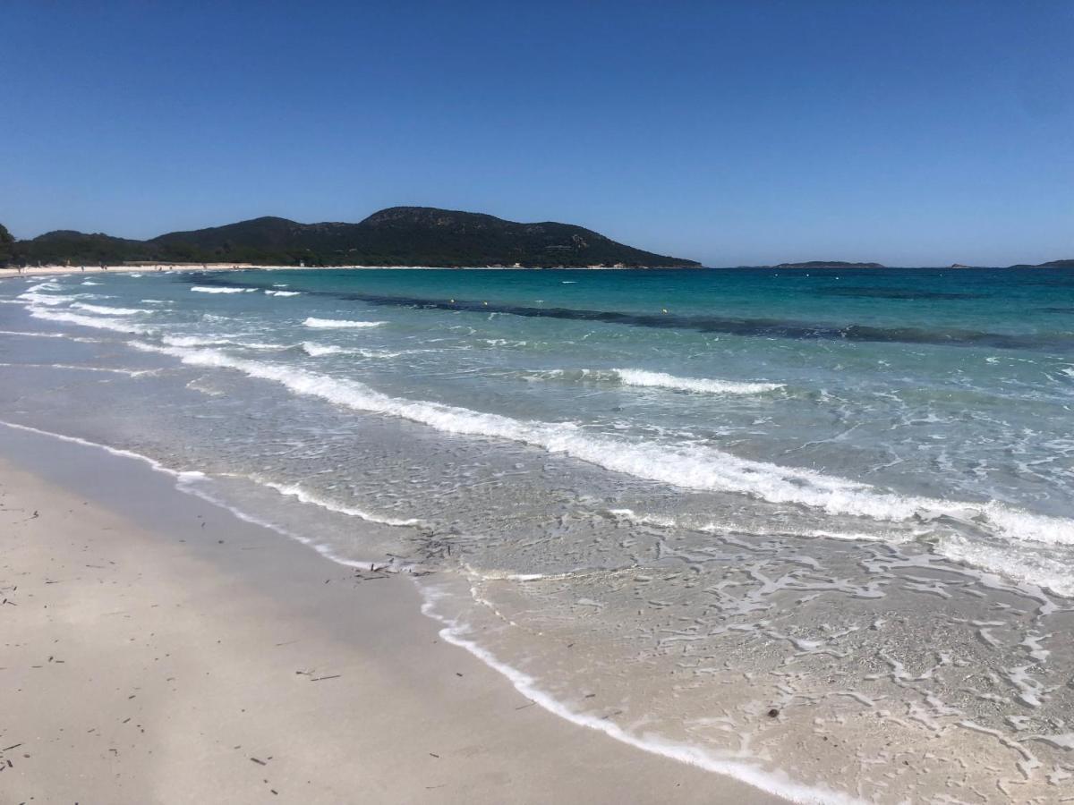 Superbe Appartement Sur Le Port, Jacuzzi, Piscine Porto-Vecchio  Zewnętrze zdjęcie