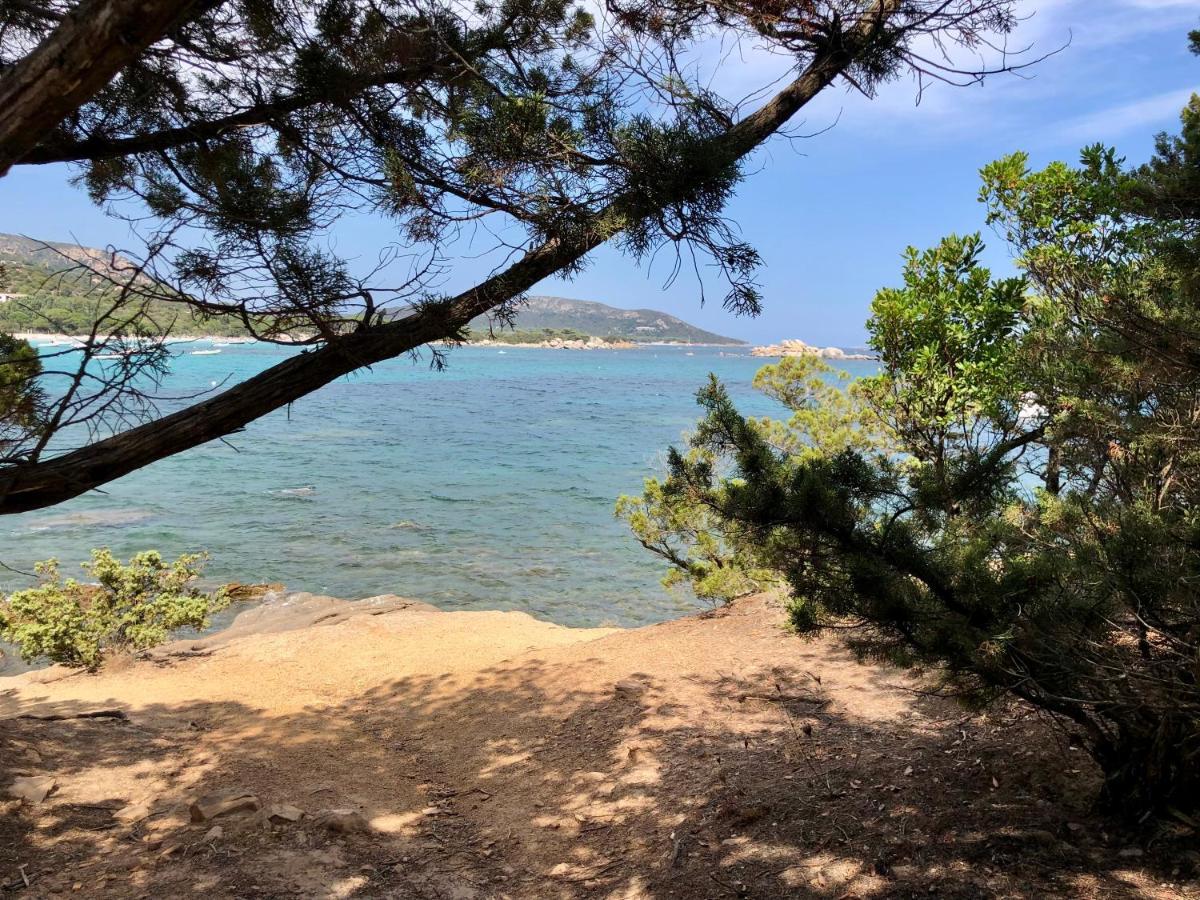 Superbe Appartement Sur Le Port, Jacuzzi, Piscine Porto-Vecchio  Zewnętrze zdjęcie